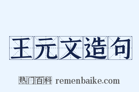 王元文造句是什么意思的图片